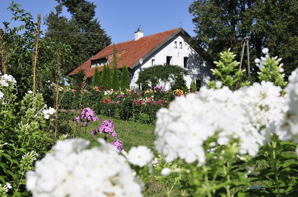 Agroturystyka Orzechowe Wzgorze Orzechowo  Exteriér fotografie