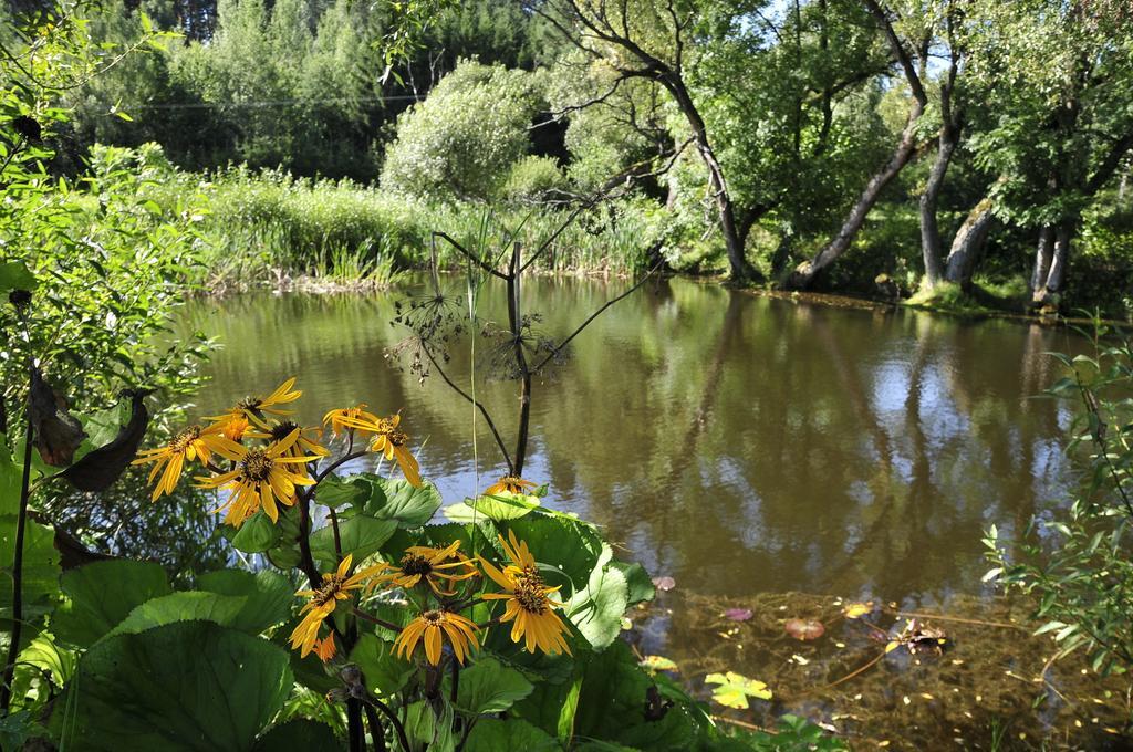 Agroturystyka Orzechowe Wzgorze Orzechowo  Exteriér fotografie