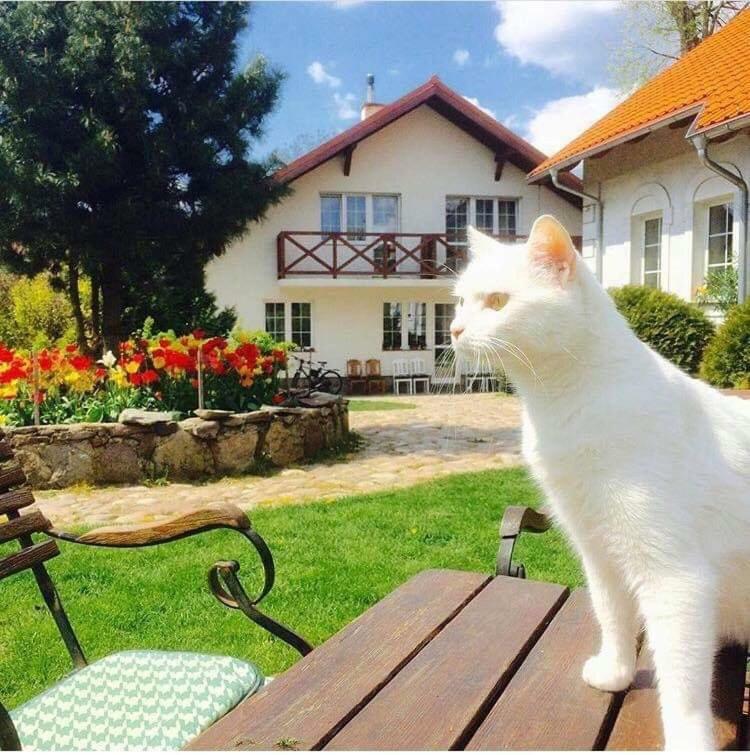 Agroturystyka Orzechowe Wzgorze Orzechowo  Exteriér fotografie